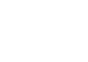 Android mobile app development technology