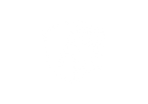 Angular web development technology