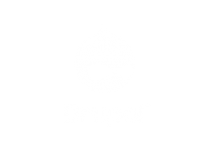 Drupal website development technology