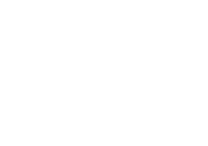 Magento ecommerce development technology