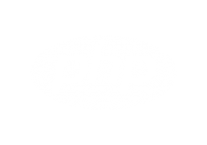 PHP software development technology