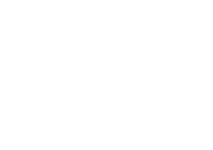 WordPress website development technology