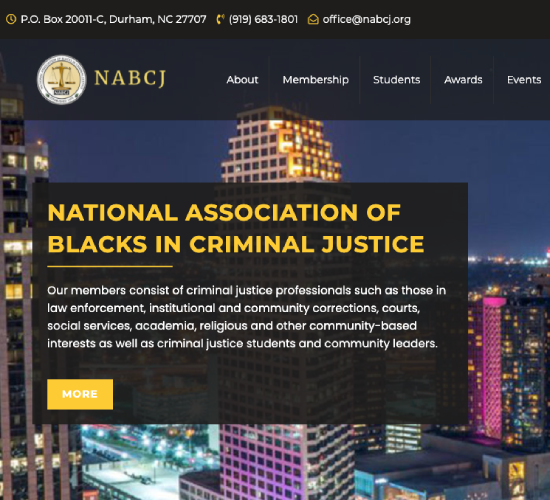 NABCJ nonprofit website portfolio