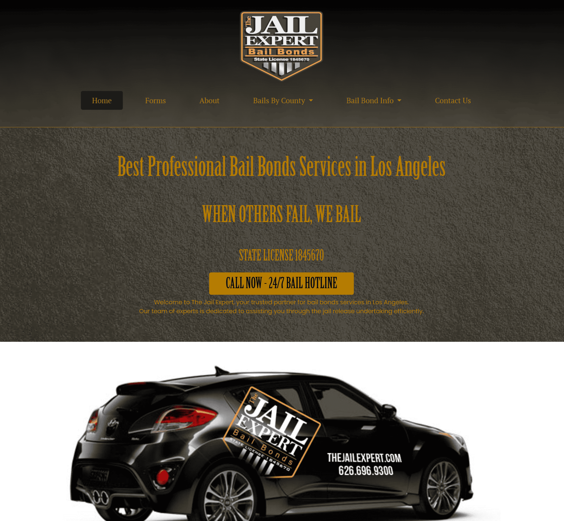 The Jail Expert website portfolio
