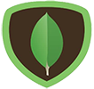 MongoDB database development MongoDB database development